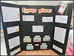 Biology Science Fair Projects For 10th Grade No School Project Strikes Fear In Hearts Of Kids Parents And Teachers Quite Like The Scie Easy Science Fair Projects Science Fair Science Fair Projects Boards