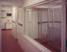 The house cats were extra nice and purred a lot which is an a+! Potomac Veterinary Hospital Potomac Md Bethesda Vet Veterinary Hospital Potomac Maryland Vet Rockville Ve Dog Kennel Kennel Business Small Kitchen Gadgets
