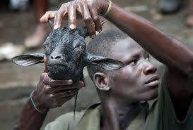 If your pictures aren't good enough, you're not close enough”. Robert Capa 