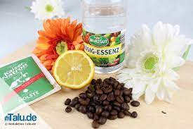 Wie sie schlechte gerüche entfernen. Schlechte Geruche Entfernen Gute Geruchsneutralisierer Talu De