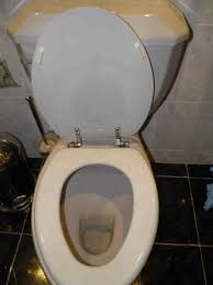 Only use chemicals that are specifically made for toilets. 5 Ways To Unblock A Clogged Toilet