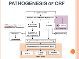 When chronic kidney disease reaches an advanced stage, dangerous levels of fluid, electrolytes and wastes can build up in your body. Chronic Renal Failure