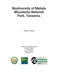 Image result for Celosia stuhlmanniana