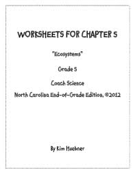Reading comprehension for grade 5. 5th Grade Science Worksheets Teachers Pay Teachers