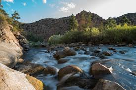 Eugene Allison — Public Lands Foundation