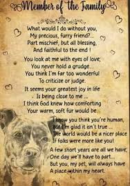 To Voodoo Diamond Mama Pitbull Terrier Dog Poems Pitbulls