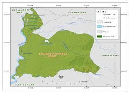 Image result for Eriochloa macclounii