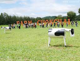 De forretningsreisende skryter av frokosten. Pak Chong Family Day Asian Plus Travel Thailand Travel Services Affordable Luxury Travel In Thailand