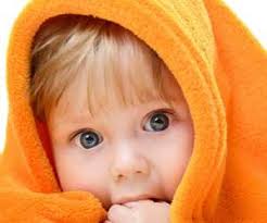 Ludovic Name Meaning