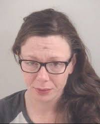 Charlevoix woman sentenced to prison for role in January U.S. 31 crash