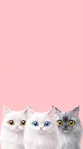 Maybe you would like to learn more about one of these? Download Wallpaper Kartun Kucing Comel Hd Cikimm Com