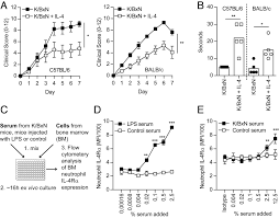 Maybe you would like to learn more about one of these? Il 4 Controls Activated Neutrophil Fcgr2b Expression And Migration Into Inflamed Joints Pnas
