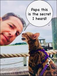 And if Tiger Mascot photos weren't enough to satisfy you, here are the  photo booth shenanigans!!