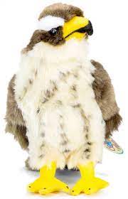 Perry The Peregrine Falcon 10 Inch Hawk Stuffed Animal Plush Bird By Tiger Tale Toys Peregrine Falcon Peregrine Animals