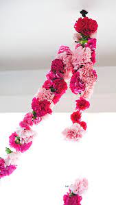 Carnation Garland Carnation Garland Garland Carnations