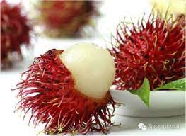 Half of these fruits don't even look edible, but they are — and they're pretty tasty too. 12 Specialty Fruits æ°´æžœ All Across China By Spoonhunt Medium