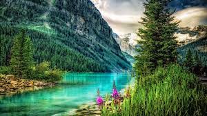 8k, 4k, high definition resolution compare 8k ultra hd, 4k uhd, full hd and hd resolution compare. Ultra Hd Wallpapers 8k 7680x4320