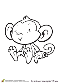 epingle sur coloriages animaux de la jungle et savane coloriage avion