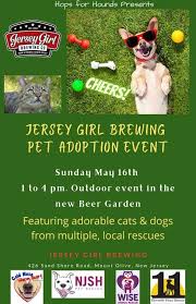 Learn more about pet adoption league in hackettstown, nj, and search the available pets they have up for adoption on petfinder. Jersey Girl Brewing Pet Adoption Jersey Girl Brewing Company Hackettstown 16 May 2021
