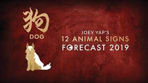 Everything you need to know about the chinese new year. 2019 Animal Sign Forecast Dog Joey Yap Youtube