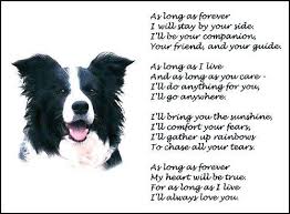 Beautiful Border Collie Print As Long As Forever Art Poem Dog Photo Verse New Collie Border Collie Dog Quotes