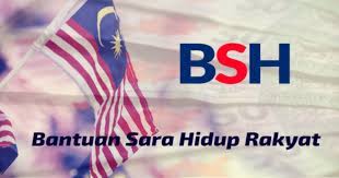 Pembayaran bantuan sara hidup ogos 2019 fasa ke 3. Malaysians Can Now Check Eligibility For Bantuan Sara Hidup On Mybsh