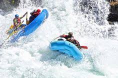 Wagging tails (4.60) brit helps burt feed the puppies. 14 Need A Raft Laugh Ideas Rafting Bones Funny Laugh