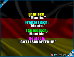 Lustige Spruche Englisch Mantis Franzosisch Facebook