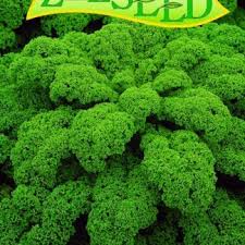 Image result for kadeřávek