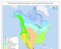 Image of Level I ecoregions of North America