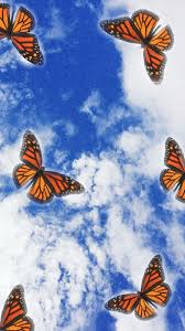 Download butterfly aesthetic wallpaper for free, use for mobile and desktop. Monarch Butterflies In 2020 Butterfly Wallpaper Pretty Wallpaper Iphone Aesthetic Iphone Wallpaper