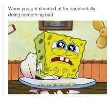 Sorry For What I Said When I Was Hungry Meme I Have Honestly Felt That Way Lol I M Sorry Ms Vasquez I Was Hungry Dx Bob Esponja Chistoso Imagenes Graciosas