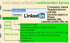 Smm Xpert3 Data Entry Lead Generation Fiverr Web Research Public Profile Data Entry