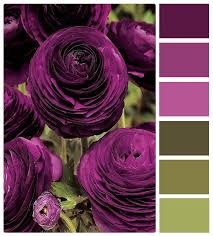 Purple And Green Deep Purple Plum Blanket Against Green Maybe Brighter Green Color Schemes Color Combos Colour Schemes