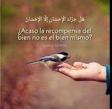 9,403 likes · 33 talking about this. Quran El Quran En Espanol Y Arabe Home Facebook