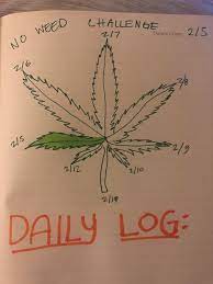 Medically reviewed by zara risoldi cochrane, pharm.d., m.s., fascp weed is detectable in bodily fluids for up to 30 days after last use. A Cute Log For Trying To Cut Down On My Weed Use Bulletjournal