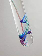 We did not find results for: Chemical Garden Wikipedia