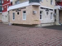 Biletele de calatorie gratuita acordate persoanelor cu handicap aferente anului 2020 pot fi utilizate si in luna ianuarie a anului 2021. Webinarii In PremierÄ Organizate De Camera De ComerÈ Èi Industrie MaramureÈ Emaramures