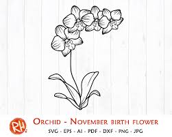 Download Orchid Cut File Orchid Cut Files For Cricut Orchid Printable Clipart Orchid Cutting File Orchid Svg Vector Orchid Image Svg Clip Art Art Collectibles Safarni Org
