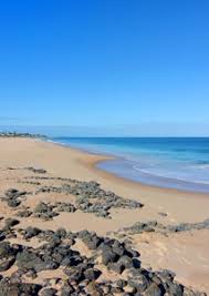 Contact Us Ocean Drive Motel Beachfront Accommodation In Bunbury