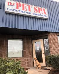 14 months ago we brought home our second rescue dog. in full transparency I  cried several times in the first 1-2 weeks we had both dogs together, not  because we regretted getting