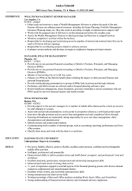 Wealth Manager Resume Samples Velvet Jobs