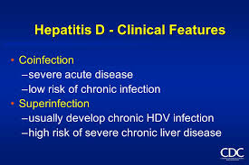 Subsequent experiments in chimpanzees showed that the hepatitis delta antigen (hdag) was a structural part of a pathogen that required hbv infection to replicate4 the entire virus was cloned. Hepatitis D Delta Virus Ppt Video Online Download