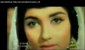 The Geneva Diaries-Letters to Roger #33