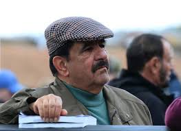 RECORD FOAL DRAFT FOR MICKLEY STUD