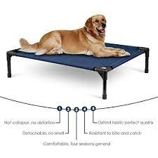 No dog bed is going to be 100% indestructible (all dog owners know that for a determined pup and enough time, nothing is genuinely indestructible). Amazon Com Amzdeal Chew Proof Dog Bed Elevated Washable Dog Cot Cat Bed Puppy Beds With Knitted Fabric Pet Supplies