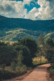 Check spelling or type a new query. 30 000 Best Countryside Photos 100 Free Download Pexels Stock Photos