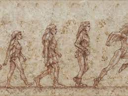 Or like a dump if various noses you draw? Homo Sapiens Virago Drawing By Daisy Gold Saatchi Art