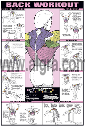 Back Workout Poster By Bruce Algra