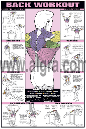 back workout poster by bruce algra